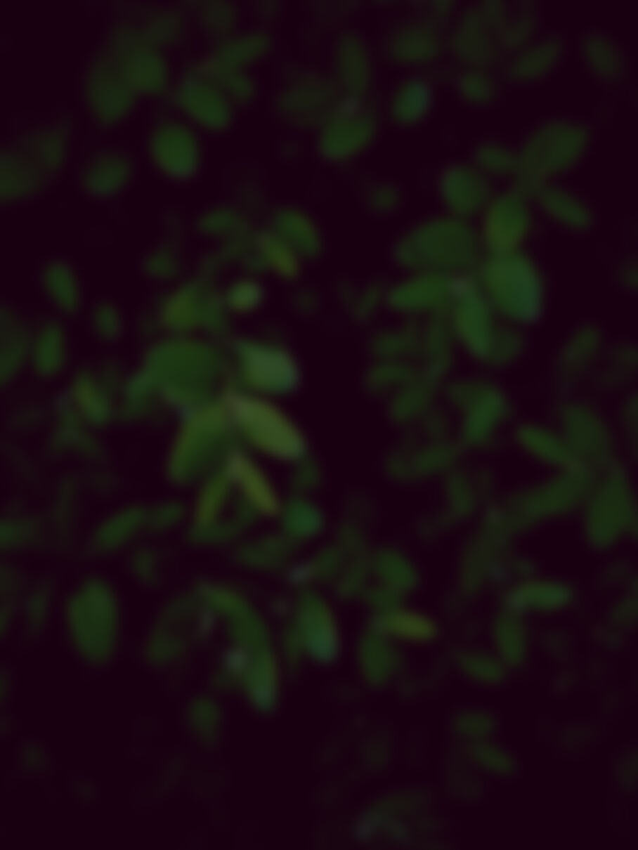 Background of Greenery